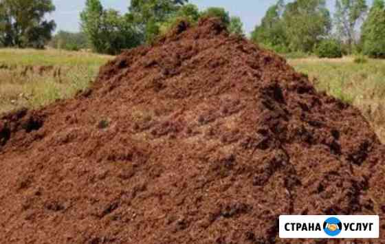 Навоз Томск