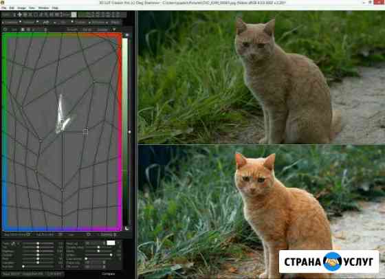 Калибровка монитора. Прибором i1 display pro Сургут