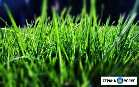 Покос, кошение травы, стрижка газонов, скошу траву Томск