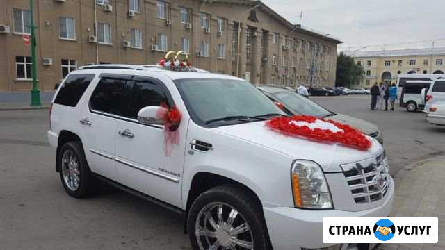Автомобиль с водителем Волжский Волгоградской области - изображение 1