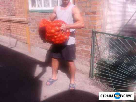 Бригады грузчиков (без вредных привычек) Таганрог