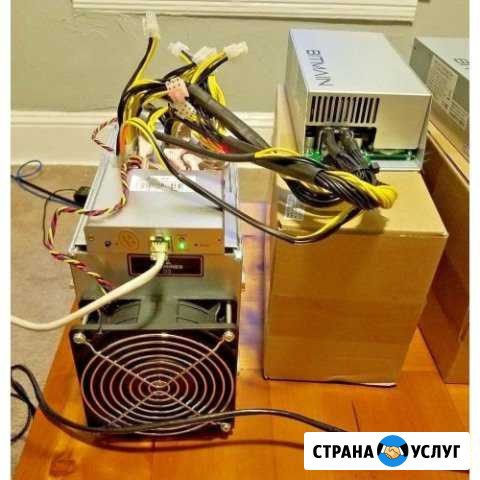 Ремонт Асиков Долгопрудный - изображение 1