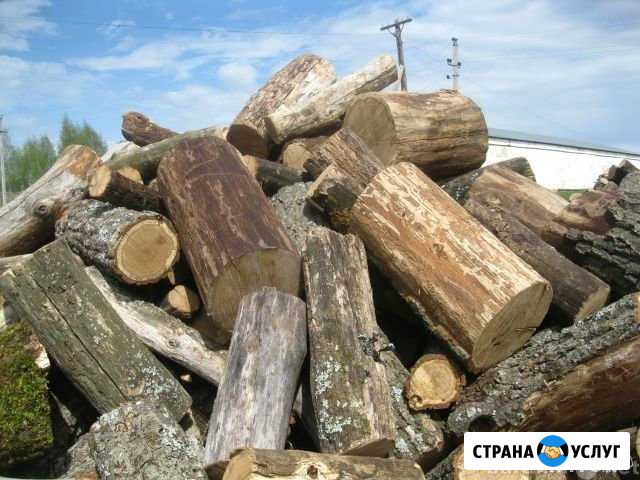 Дрова дубовые Шебекино - изображение 1