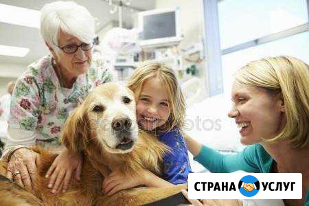 Уход за животными Тамбов - изображение 1
