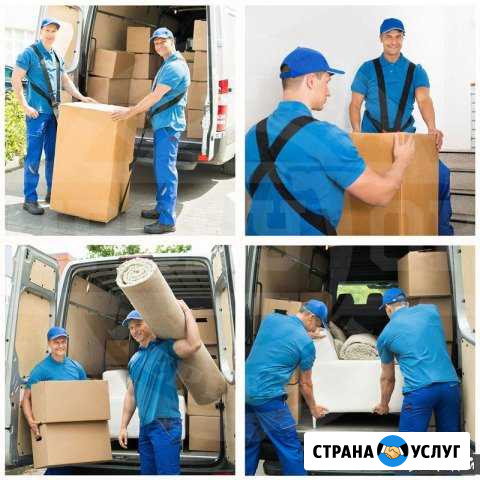 Грузчики Шахты - изображение 1