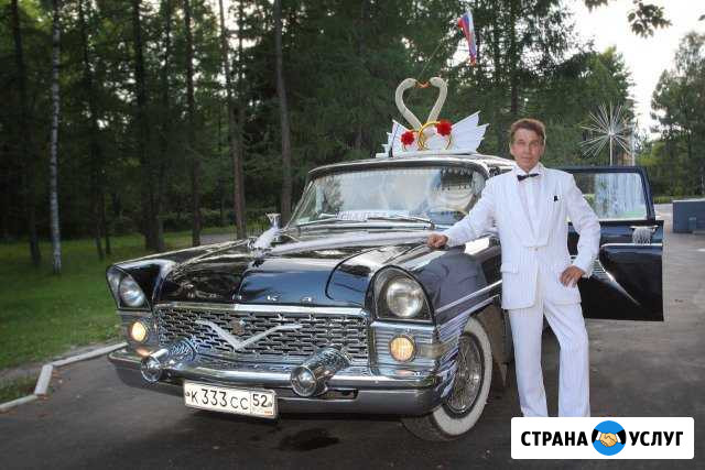 Чайка на свадьбу Дзержинск - изображение 1