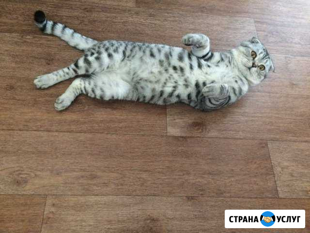 Вязка Нижний Ломов - изображение 1
