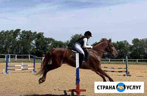 Обучение верховой езде, организация фотосессий Самара