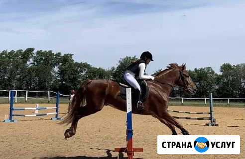 Обучение верховой езде, организация фотосессий Самара - изображение 1