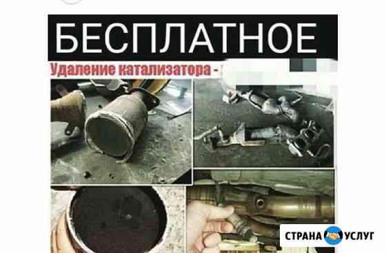 Удаление катализатора Бесплатно Грозный