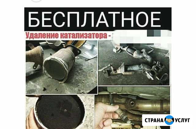 Удаление катализатора Бесплатно Грозный - изображение 1