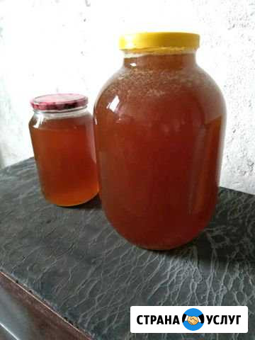 Продам мёд Мичуринск - изображение 1