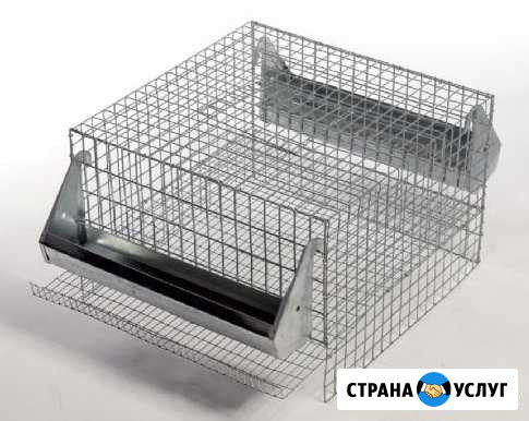 Изготовлю клетки для животных из сетки и дерева Курск - изображение 1