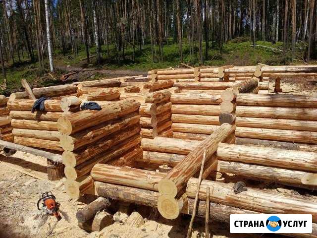 Срубы, дома, бани, беседки Пермь - изображение 1