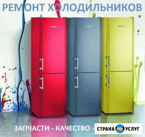 Ремонт холодильников морозильников на дому Чебоксары