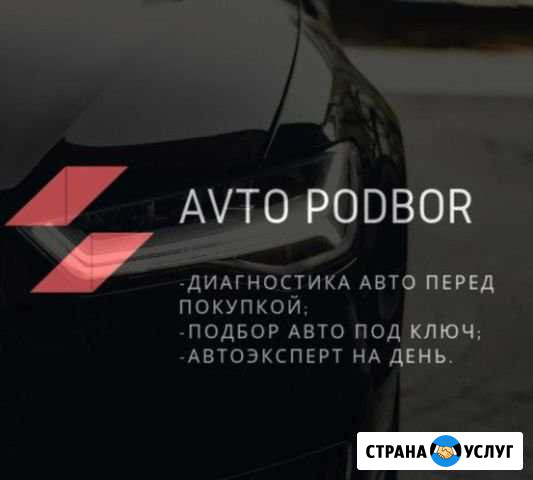 Проверка авто перед покупкой, выезд Альметьевск - изображение 1