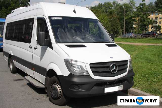 Перевозка пассажиров Санкт-Петербург - изображение 1