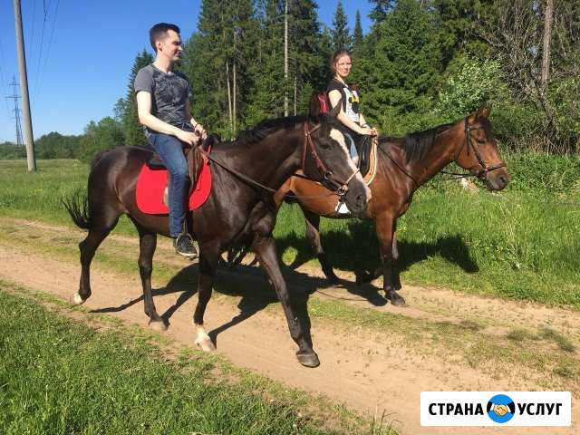 Конные прогулки Ижевск - изображение 1