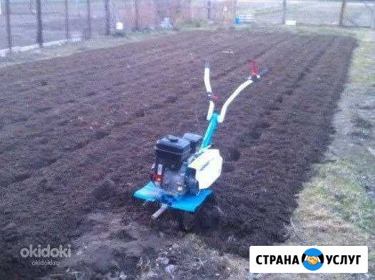 Вспашка огорода мотоблоком Благовещенск - изображение 1