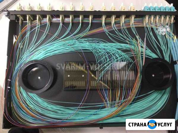 Волс, скс, лвс Сочи - изображение 1