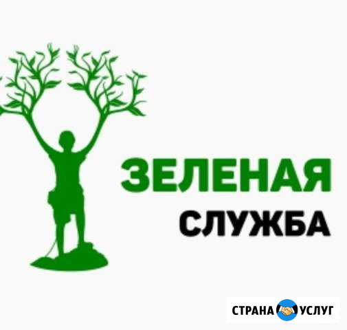 Спил деревьев. Удаление деревьев. Спилить дерево Тюмень - изображение 1