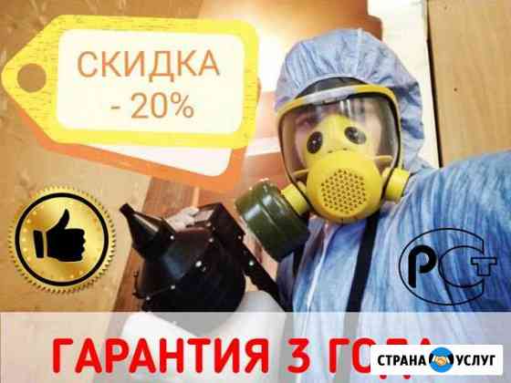 Уничтожение клопов, тараканов, муравьев Альметьевск