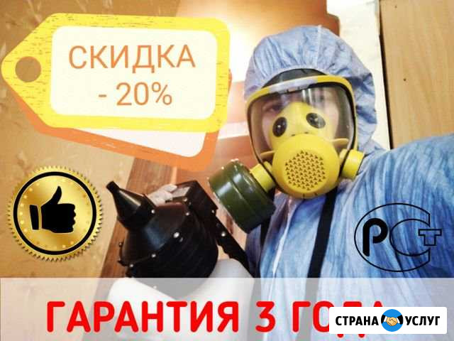Уничтожение клопов, тараканов, муравьев Альметьевск - изображение 1