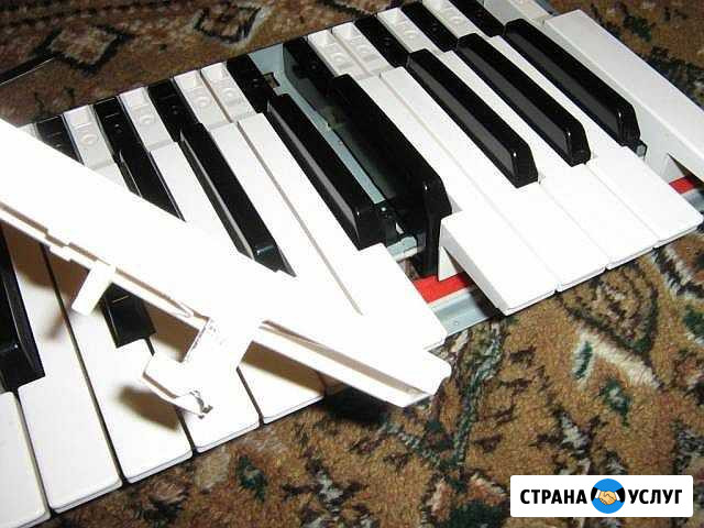 Ремонт синтезаторов Псков - изображение 1