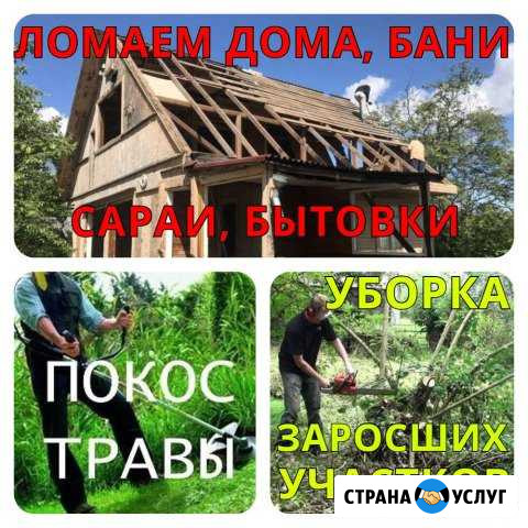 Покос поросли, травы. Снос строений, домов. Вывоз Покров - изображение 1