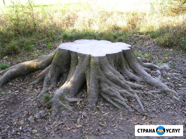 Корчевка пней (корчевание, спил, дробление) Красноярск - изображение 1