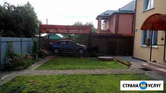 Передержка собак Калининград