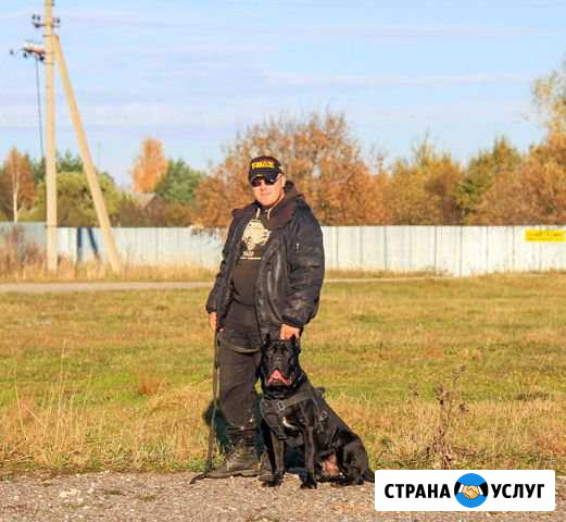 Дрессировка собак Москва - изображение 1
