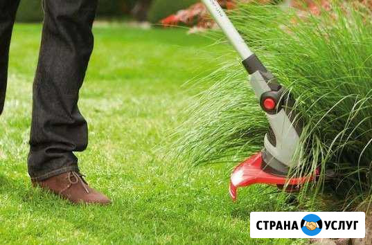 Покос травы Саратов - изображение 1