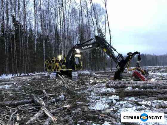 Услуги по лесозаготовке Галич