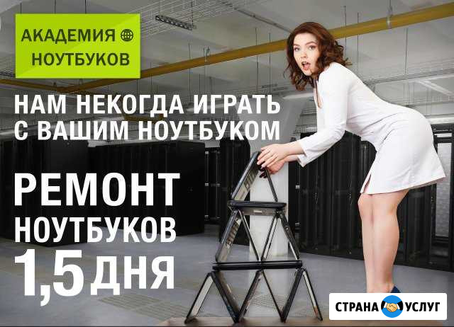 Профессиональный ремонт ноутбуков Великий Новгород - изображение 1