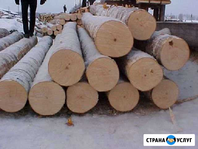 Производство мебельные заготовки (береза) Нюксеница - изображение 1