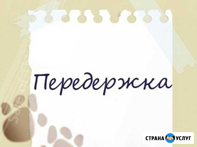 Передержка животных Братск - изображение 1