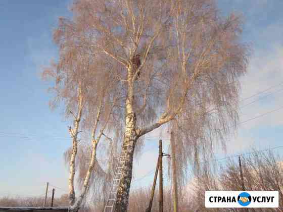 Удаление деревьев Кимовск