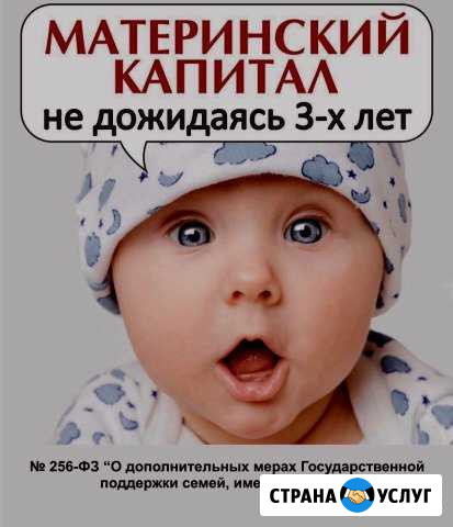 Реализация материнского капитала Шалинское - изображение 1
