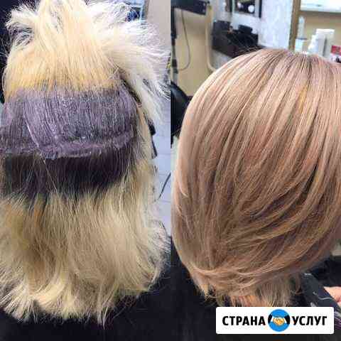 Колористика Киров
