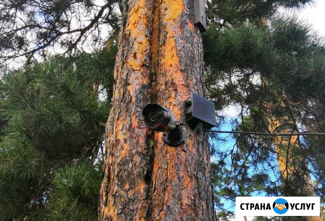 Видеонаблюдение, монтаж, установка, обслуживание Барнаул - изображение 1