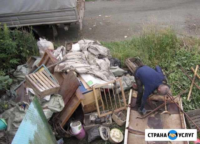 Вывоз мусора Воскресенск - изображение 1