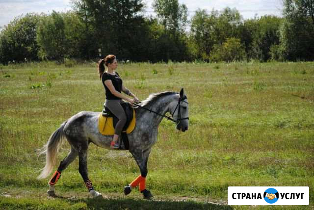 Занятия на лошади, верховая езда, фотосессии Видное - изображение 1