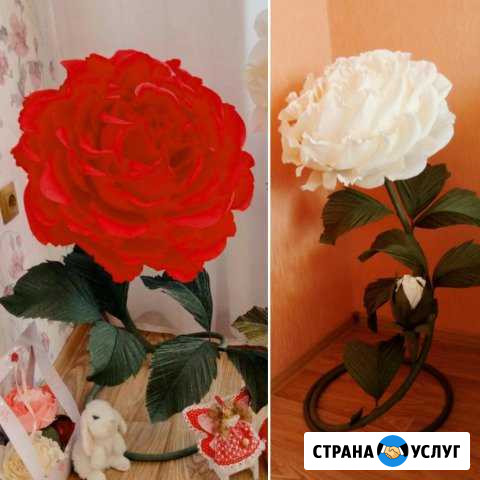Интерьерные ростовые цветы Южный - изображение 1