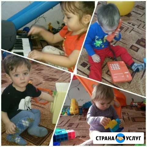 Мини сад Комсомольск-на-Амуре - изображение 1