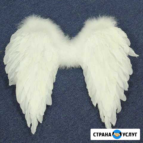 Аренда/прокат Геленджик - изображение 1