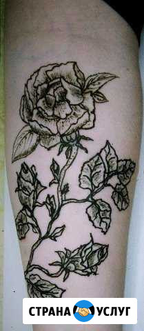 Тест драйв тату (хна, мехенди, хенна, Барнаул Барнаул - изображение 1