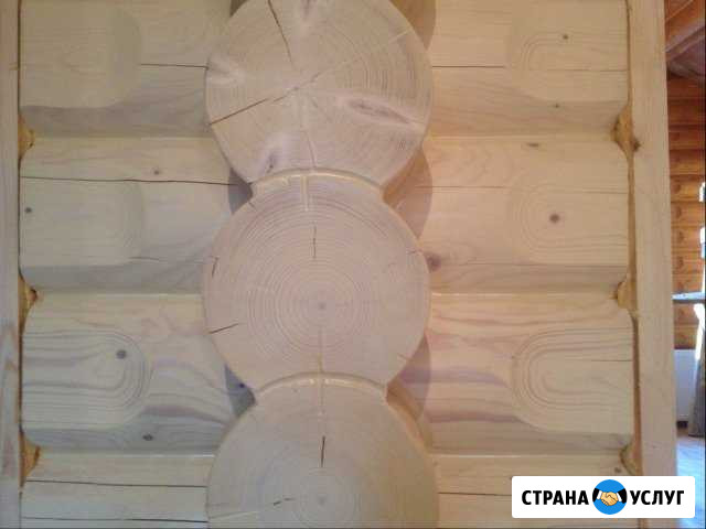 Плотники Михнево - изображение 1