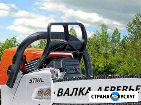 Профессиональный спил, удаление деревьев (арборист Москва - изображение 1