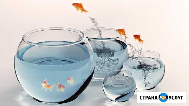 Обслуживание и чистка аквариумов Симферополь, Крым Симферополь - изображение 1